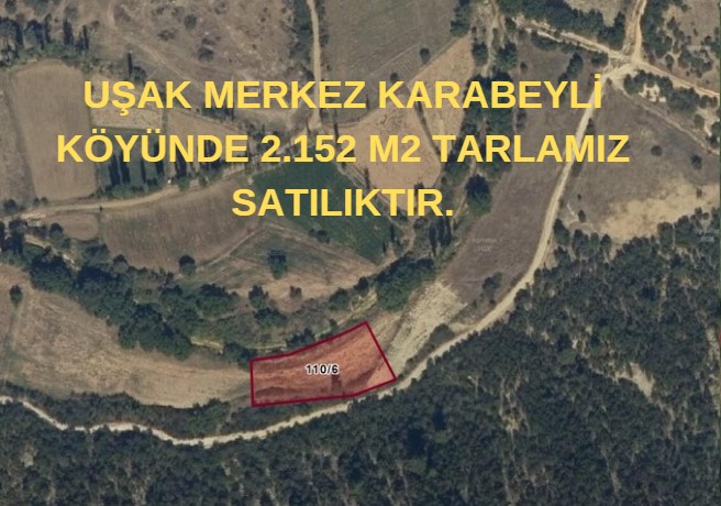 UŞAK MERKEZ KARABEYLİ KÖYÜNDE 2.152 M2 TARLAMIZ SATILIKTIR. - UŞAK MERKEZ fotoğraf 5